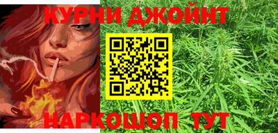 сатива Тверь