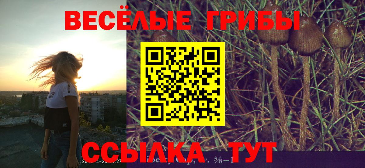 Псилоцибиновые грибы MAGIC MUSHROOMS  Вход с VPN  Ногинск 